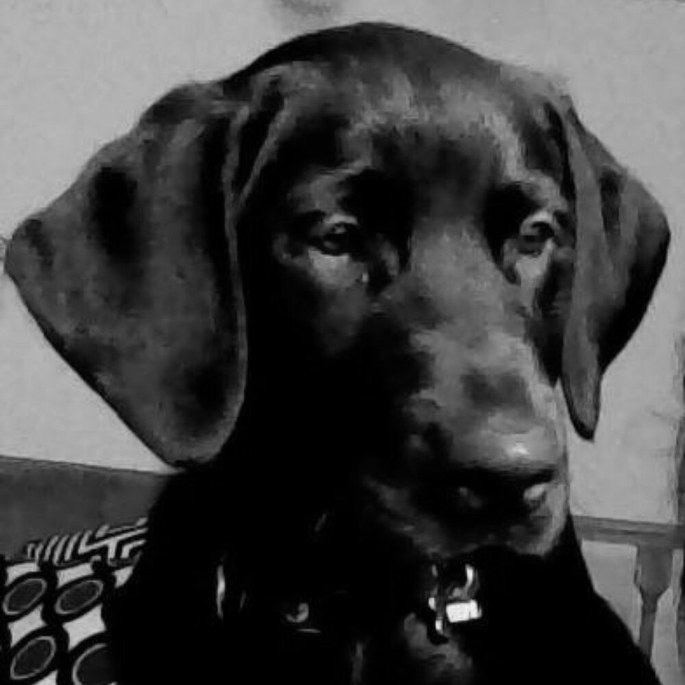 Meet your Posher, Heidi